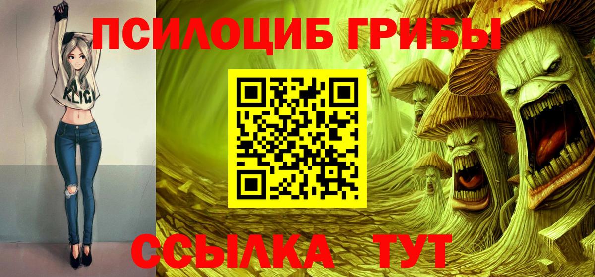 закладка  Вход с VPN  Дедовск  Галлюциногенные грибы Cubensis 